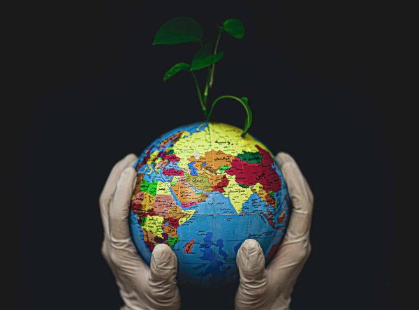 Pourquoi les entreprises écologiques vous informent les actions qu'elles mènent sur l'environnement et l'écologie ?