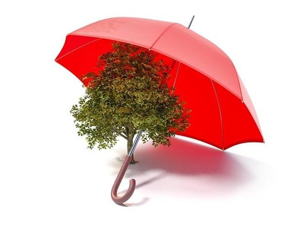 Qu'est-ce que l'éducation à l'environnement et pourquoi est-elle essentielle ?