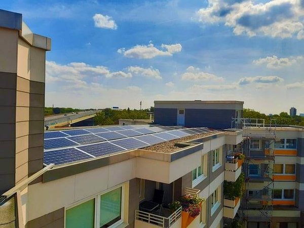 Comment créer et développer une entreprise écologique ?