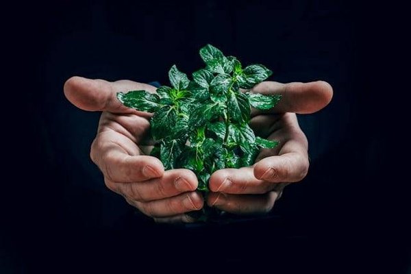 Le rôle important des médias dans la sensibilisation à l'écologie